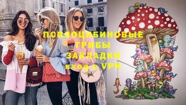 apvp Кодинск